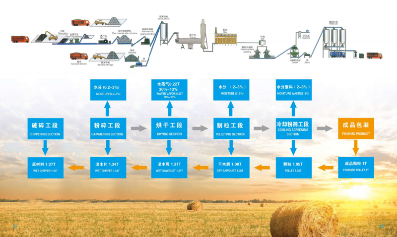 熊猫直播宣传册_13 - 副本.png